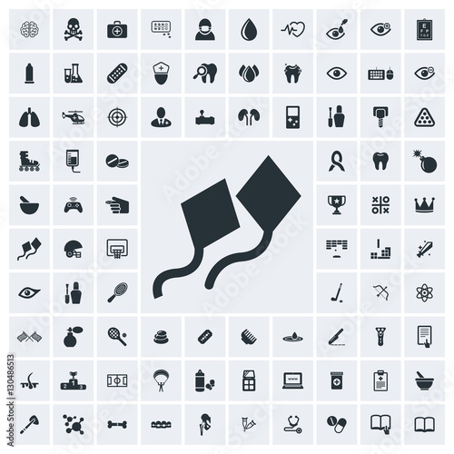 Kite icon, vector icon set