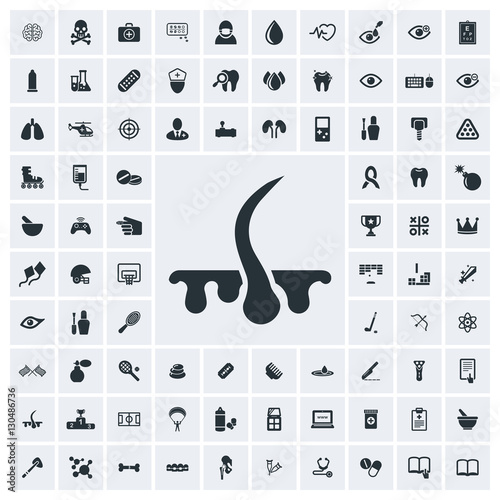 Hair icon, vector icon set