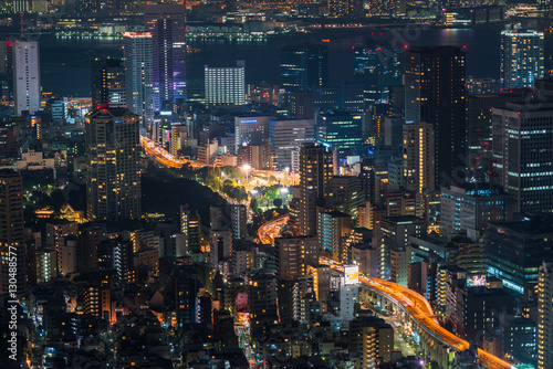 Tokyo, Japan cityscape and highways. © superjoseph