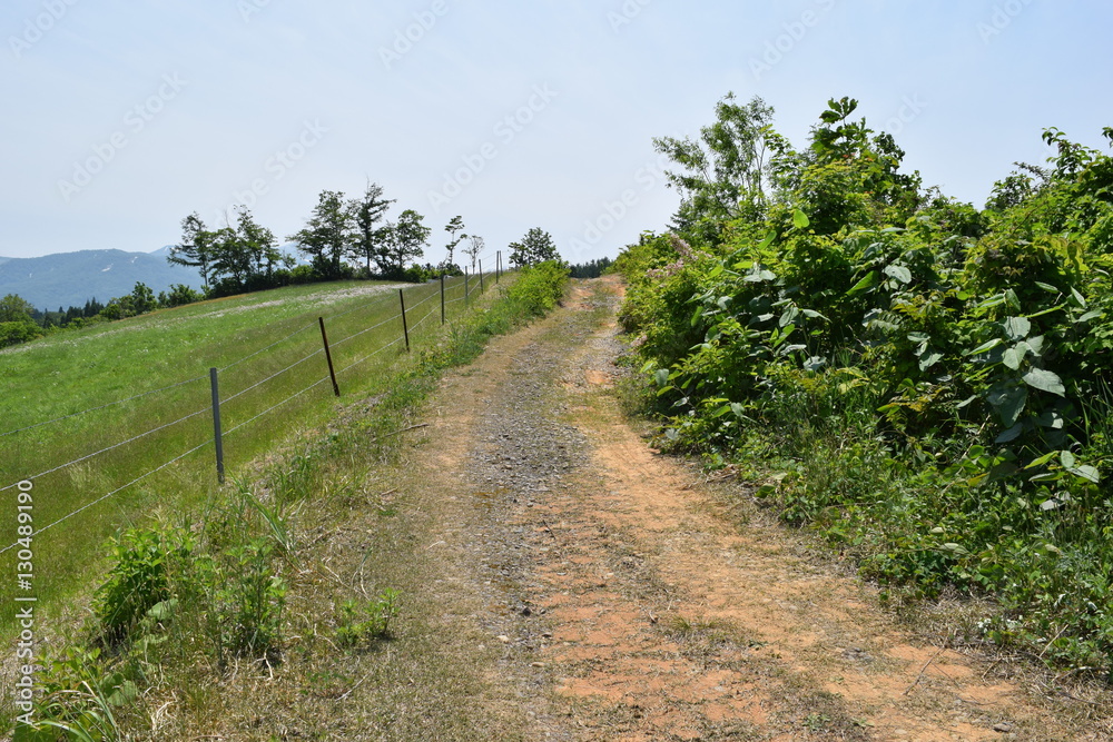 Obraz premium 山岳道路