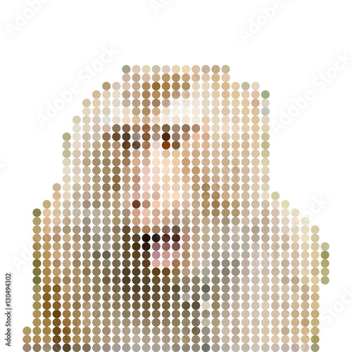 Thai Macaque monkey