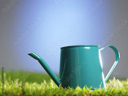 Green watering can