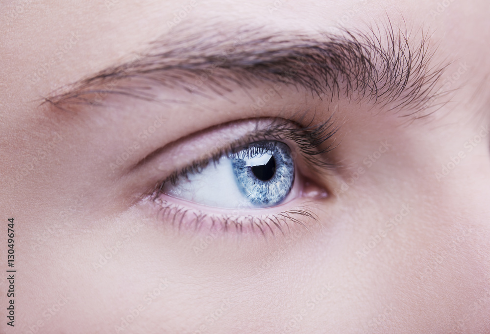 Close up image of insightful look blue human eye Close up image of insightful look blue human eye