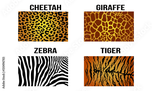 Cheetah Leopard Giraffe Zebra Tiger Vector Skin Pattern Background