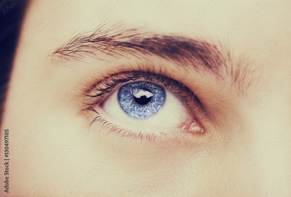Fototapeta premium Close up image of insightful look blue human eye