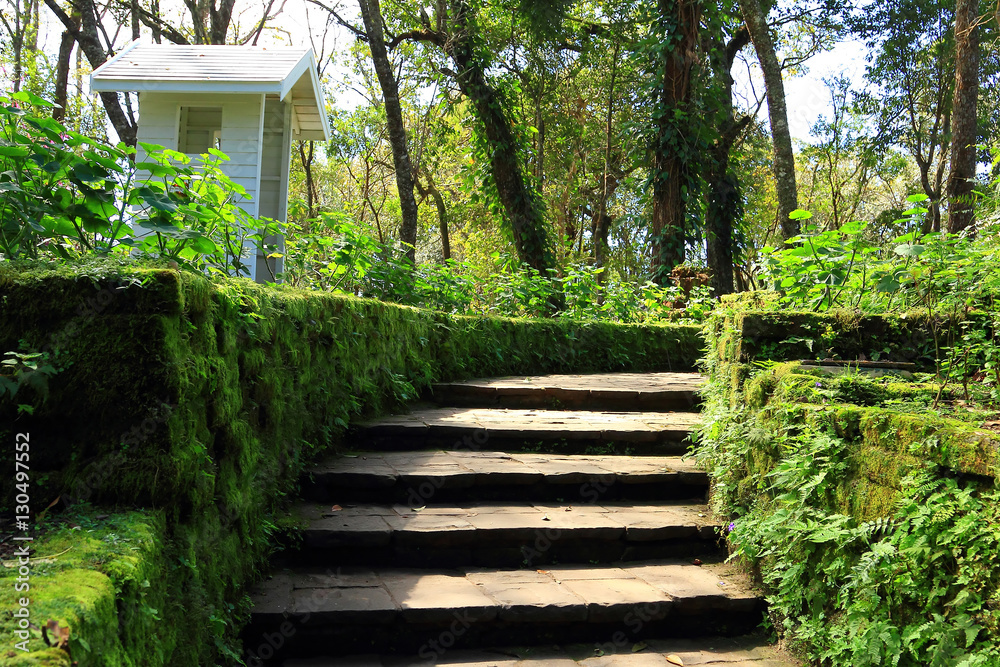 stone stairs leading up to garden in the park