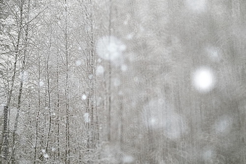 Fototapeta premium blurred background winter snow gloomy depression