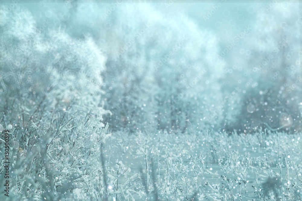 Obraz premium Winter forest blurred background snow landscape