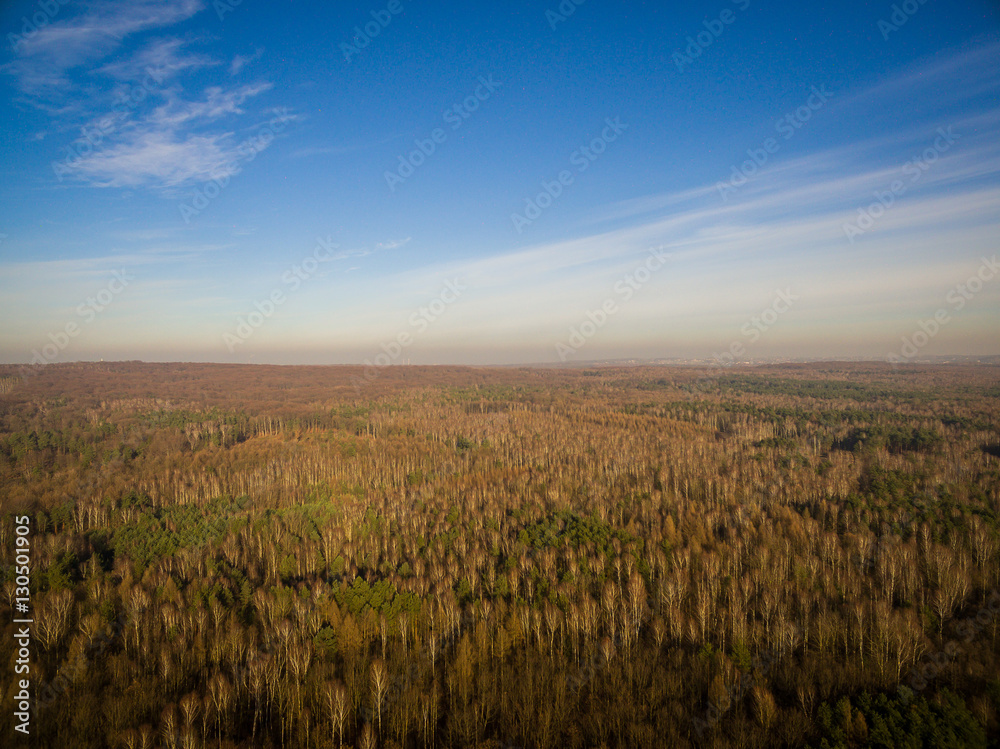 Panorama las mysłowice