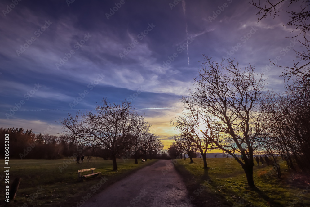 Fototapeta premium Wilhelminensberg (Gallitzinberg) / Steinhofgründe