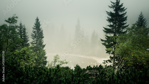 A beautiful mountain lake in a fog in Tatry  Slovakia. Low saturation retro style