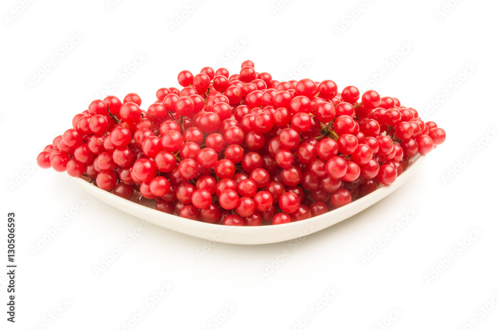 Viburnum berries over a white background Viburnum berries over a white background