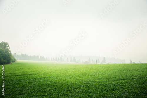 A beautiful misty Slovakian mountain scenery in Low Tatras