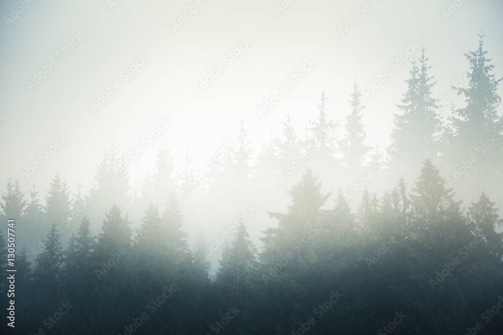 A beautiful misty Slovakian mountain scenery in Low Tatras