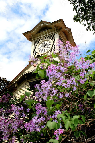 Sapporo Clock Tower and lilac 