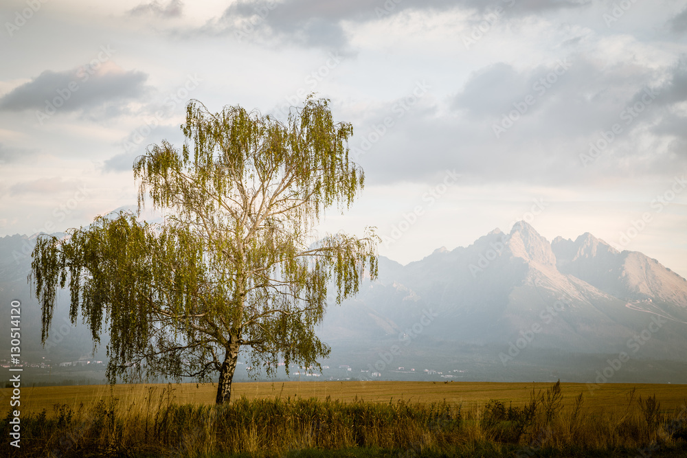 Fototapeta premium A beautiful Slovakian landscape with Tatra mountains in background