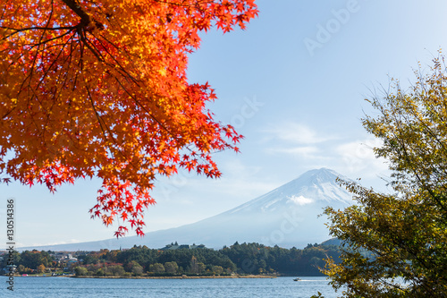 Fuji in autumn