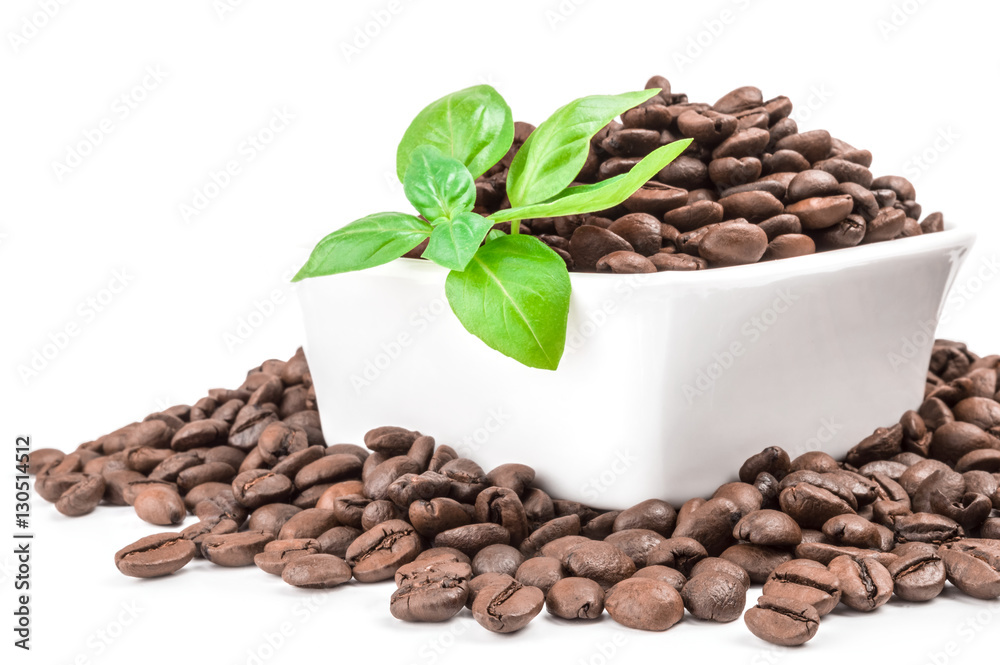 Fototapeta premium Coffee isolated on a white background cutout