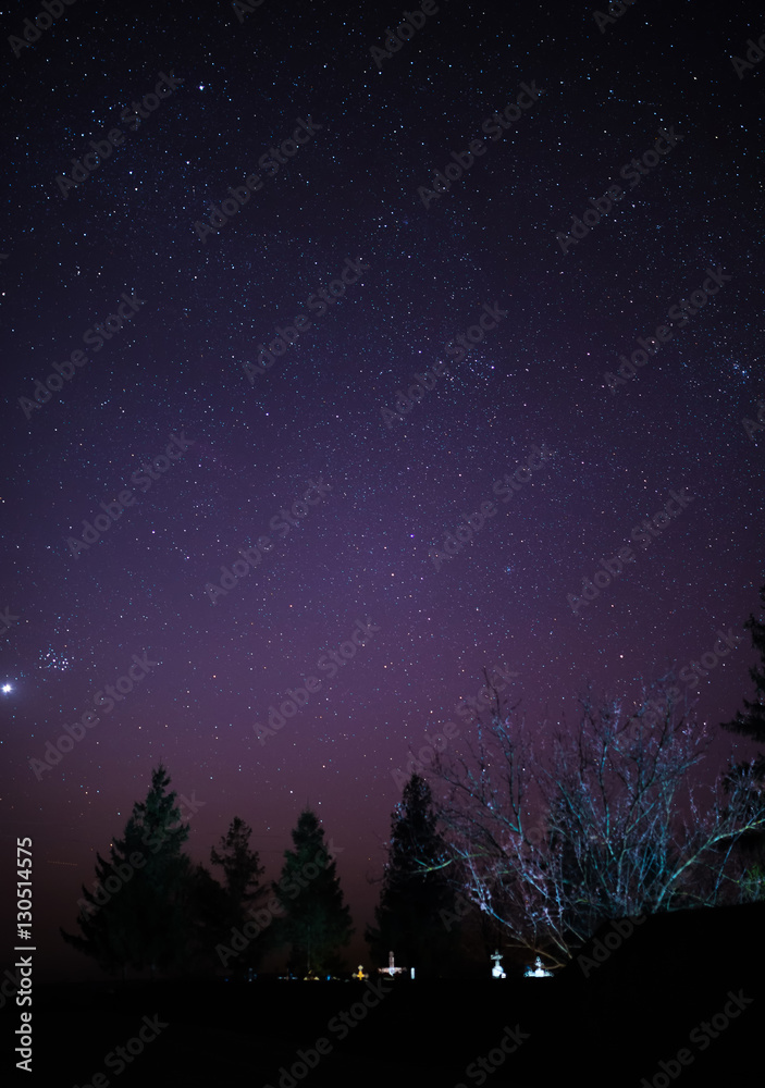 Naklejka premium starry night sky with trees