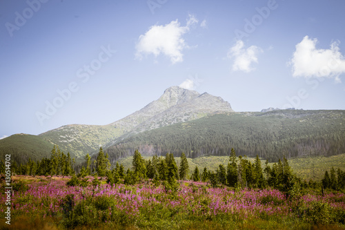 A beautiful Slovakian landscape with Tatra mountains in background © dachux21