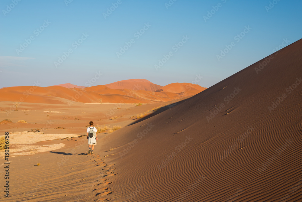 Tourist walking on the scenic dunes of Sossusvlei, Namib desert, Namib Naukluft National Park, Namibia. Afternoon light. Adventure and exploration in Africa. Tourist walking on the scenic dunes of Sossusvlei, Namib desert, Namib Naukluft National Park, Namibia. Afternoon light. Adventure and exploration in Africa.