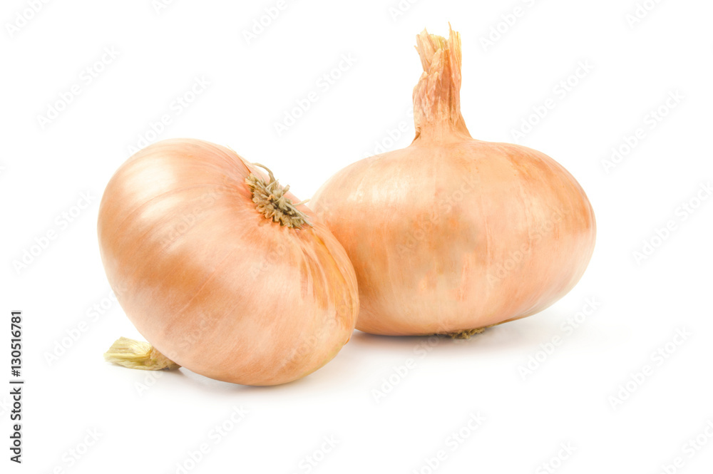 Fresh onion bulbs isolated on a white background cutout
