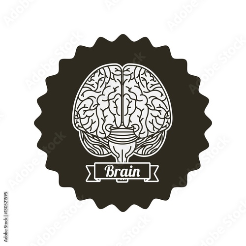 seal stamp with human brain organ icon over background. vector illustraiton