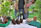 semis dans pots en tourbe sur une table devant jardinier 