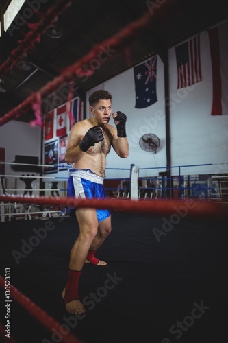 Confident boxer performing boxing stance