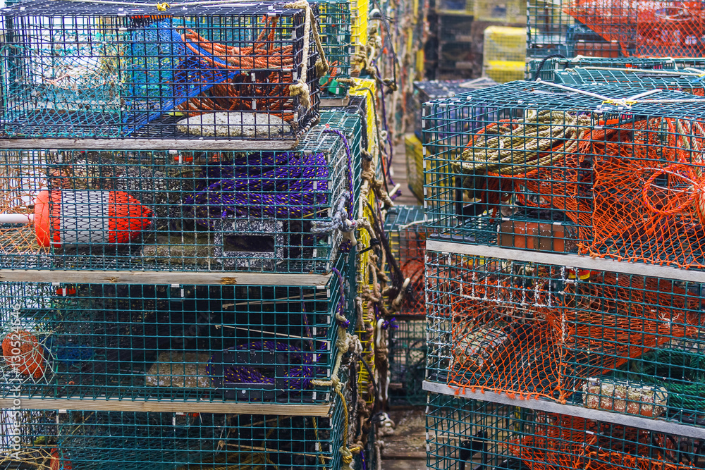 Lobster cages