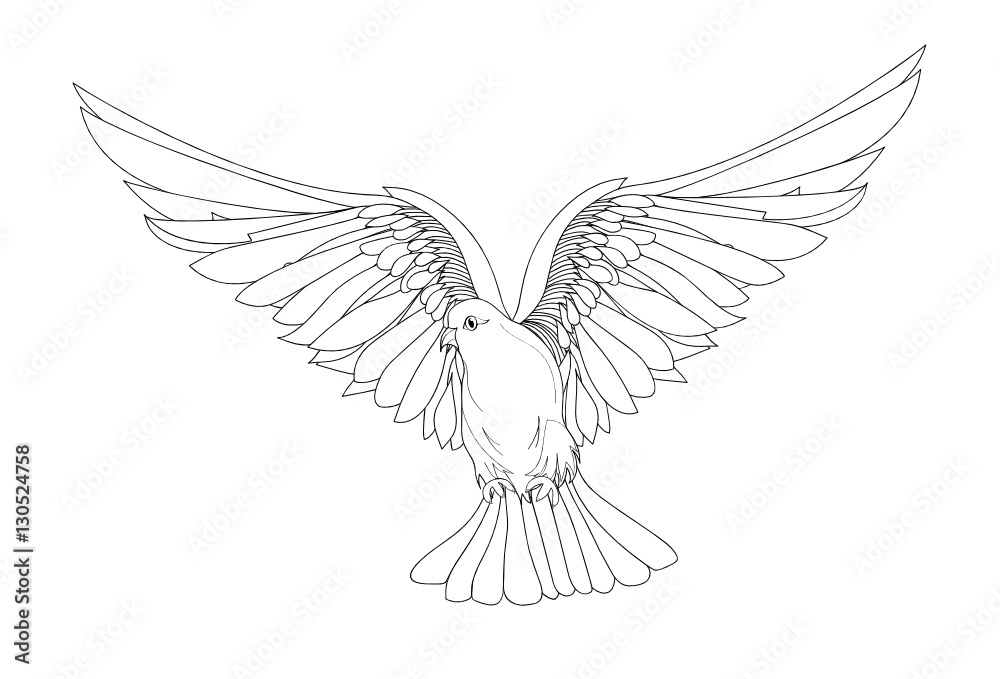 Fototapeta premium Dove in free flight. Isolated vector on white background.