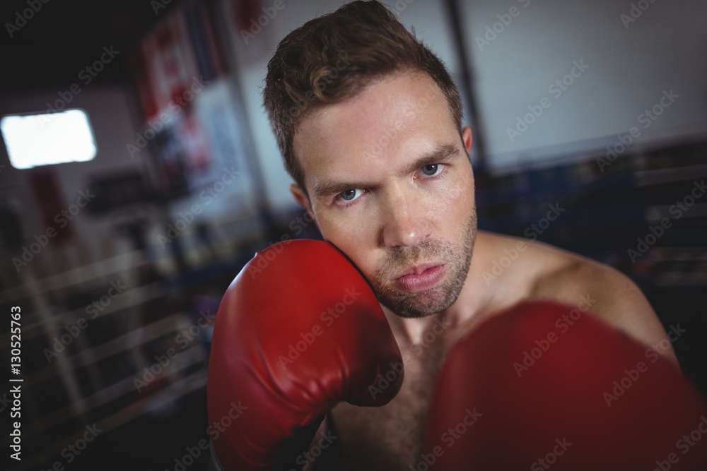 Confident boxer performing boxing stance Confident boxer performing boxing stance