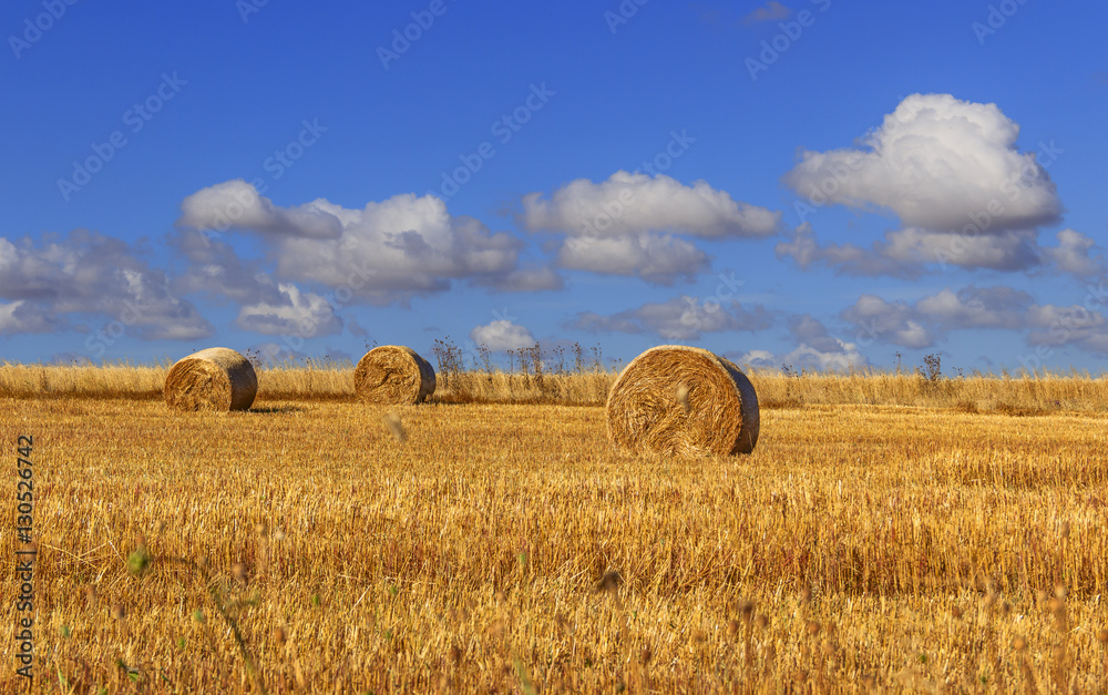 Rural landscape.Alta Murgia Nationa Park:straw bales in harvested corn fields. - (Apulia) ITALY.Summer countryside dominated by cloudscape.