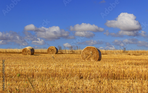 Rural landscape.Alta Murgia Nationa Park:straw bales in harvested corn fields. - (Apulia) ITALY.Summer countryside dominated by cloudscape.