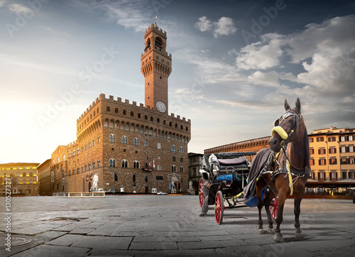 Horse on Piazza della Signoria photo