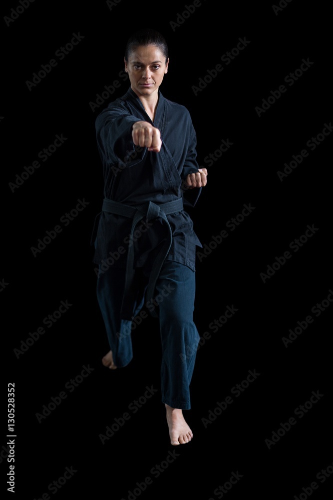 Female karate player performing karate stance Female karate player performing karate stance