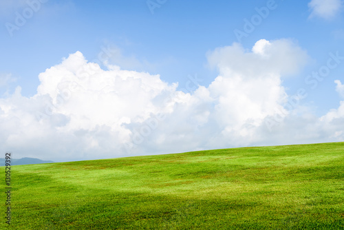 grass field background
