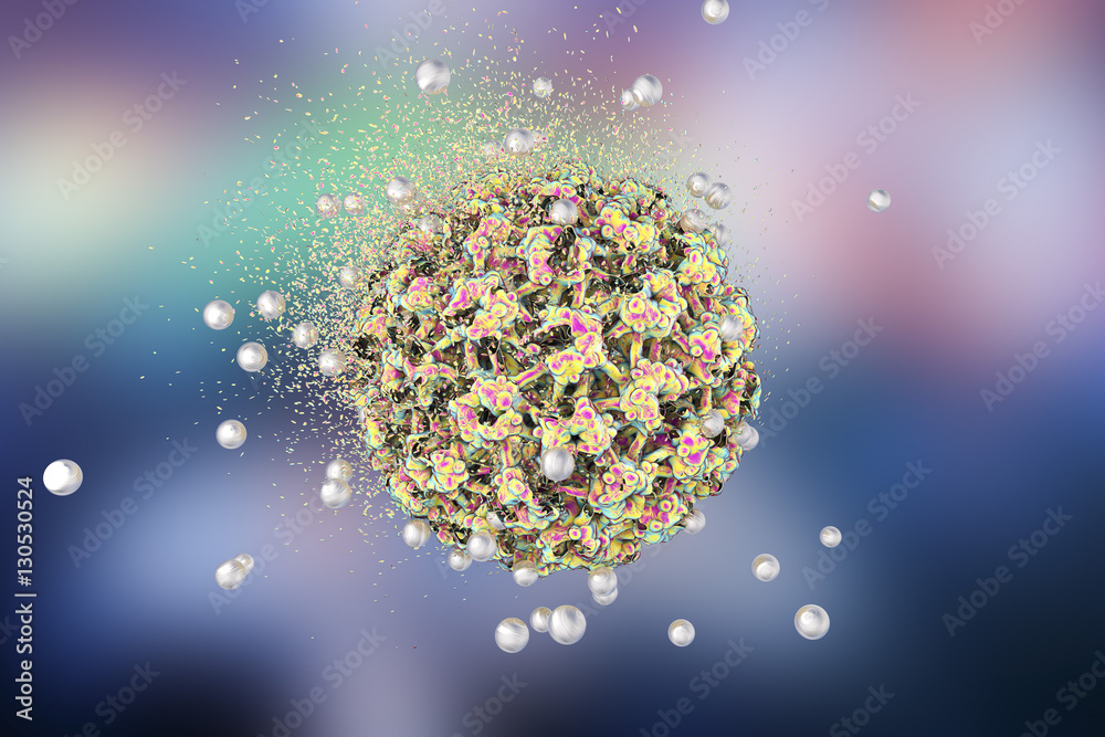 Destruction of Human Papillomavirus by silver nanoparticles, 3D