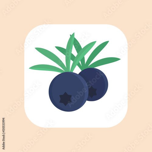 juniper berries icon in flat style on white