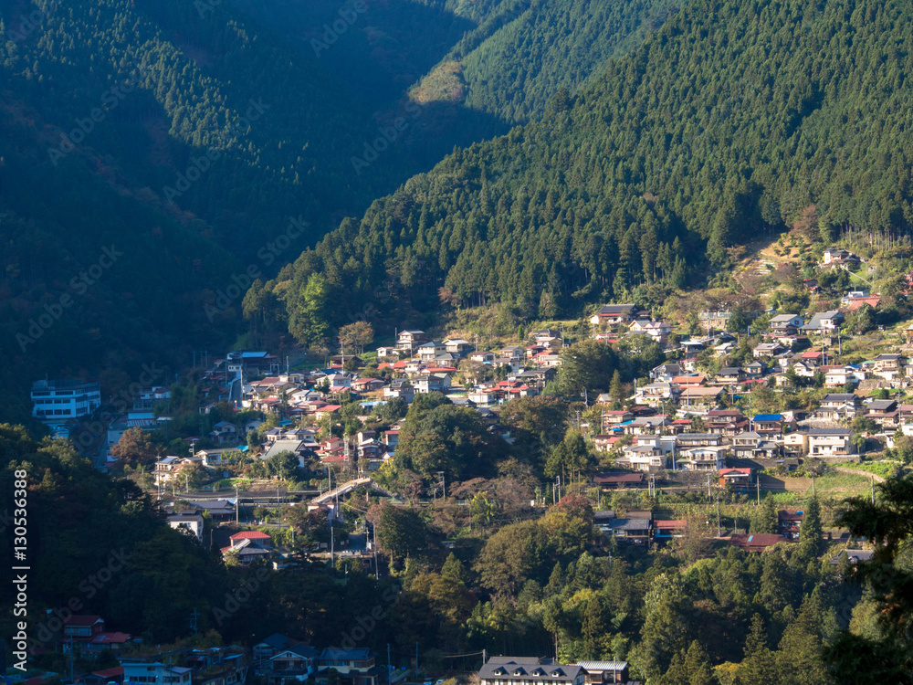 Obraz premium OLYMPUS DIGITAL CAMERA