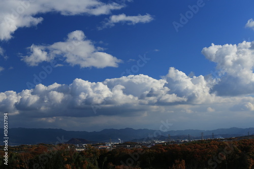 冬の青空