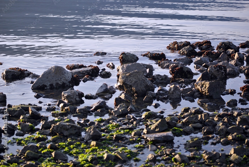 Fototapeta premium rocce, muschio, mare azzurro e blu increspato d'inverno