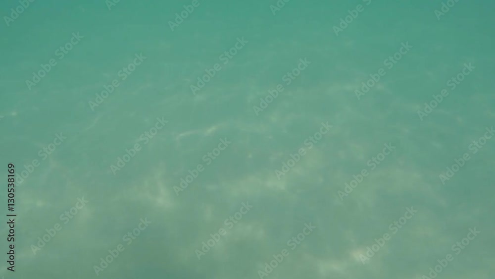Frau in Wasser am Karibikstrand auf Kuba Varadero Frau in Wasser am Karibikstrand auf Kuba Varadero