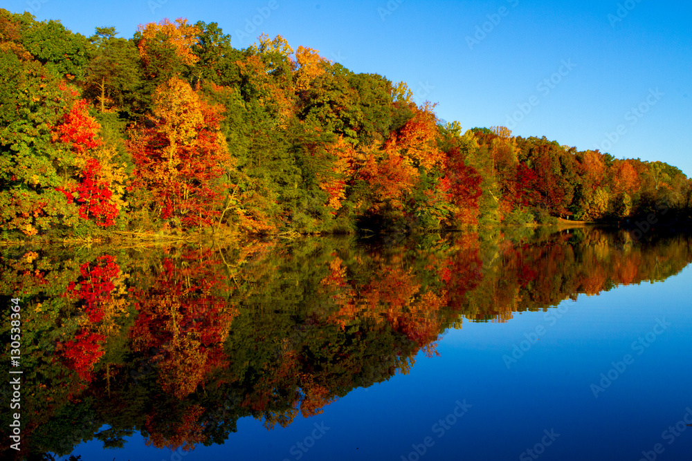 Fototapeta premium Colorful Fall