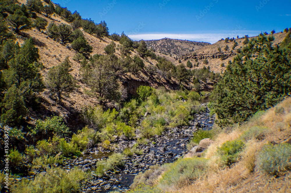 Southern Oregon stream path