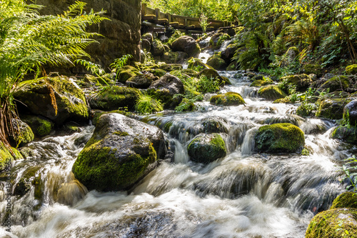 Pesurinkoski, a little stream in Western Finland
