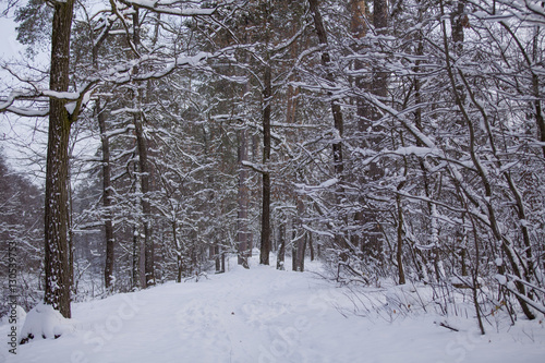 road through frozen forest with snow