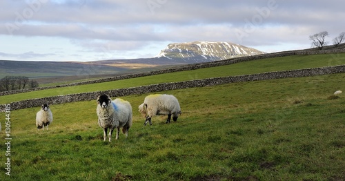 Snow on Pen-y-ghent