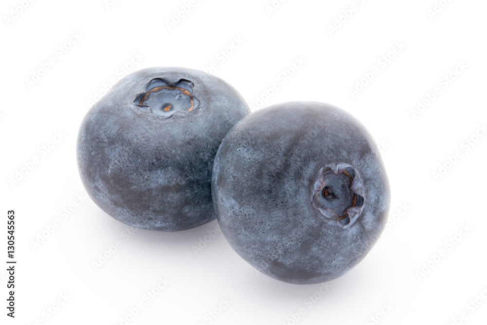 Close up of a blueberry branch isolated over white. Close up of a blueberry branch isolated over white.