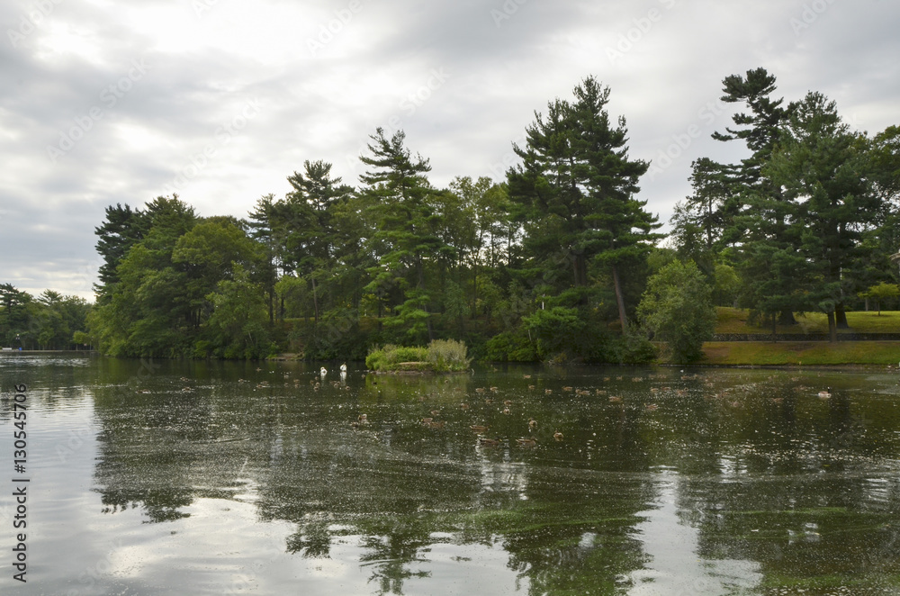 Naklejka premium Morning